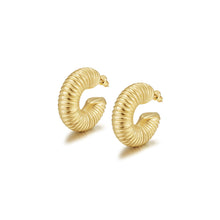 Load image into Gallery viewer, Ribbed Chunky Earrings